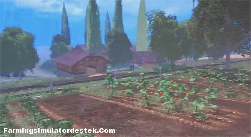 fsdestekdomates_fs2015