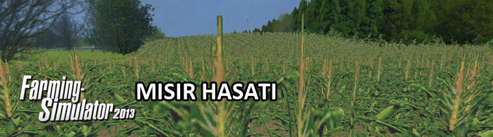 fs2013_misir_hasati_rehberi