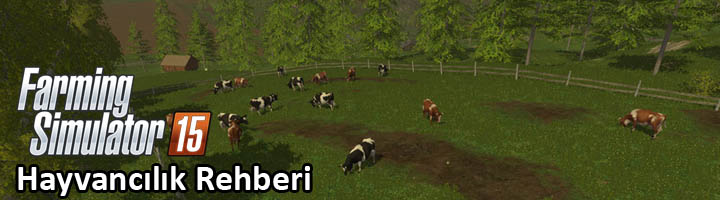 fs2015besicilikrehberi