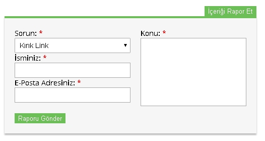 fsdestekicerigiraporet