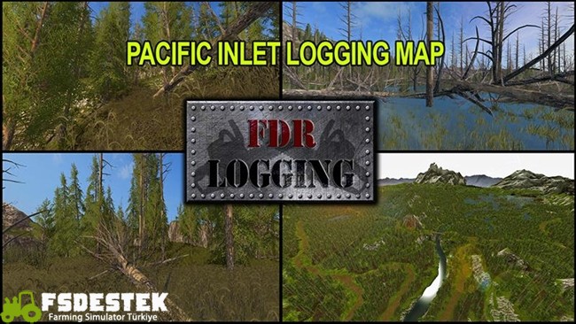 pasifik_orman_haritasi